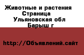  Животные и растения - Страница 2 . Ульяновская обл.,Барыш г.